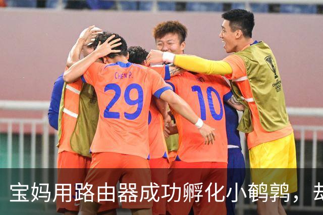 宝妈用路由器成功孵化小鹌鹑，却因天气骤变遭遇不幸